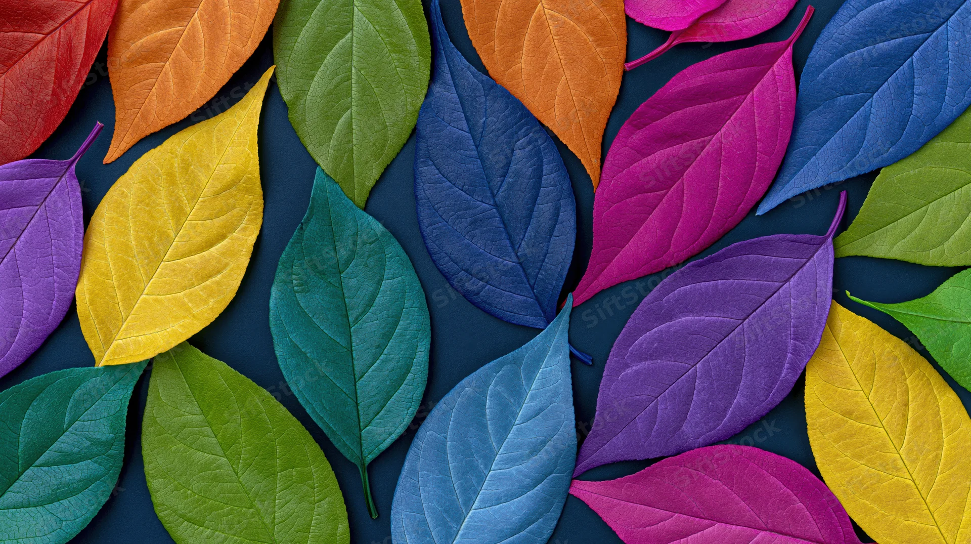 Colorful leaves arranged in a flat lay pattern on dark blue surface