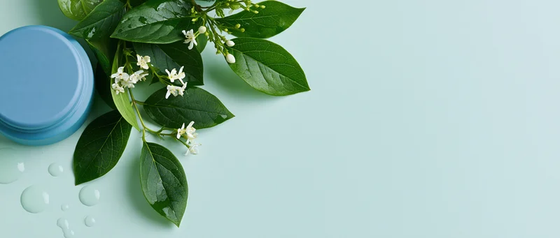 Blue cosmetic jar with green leaves and white flowers on pastel background