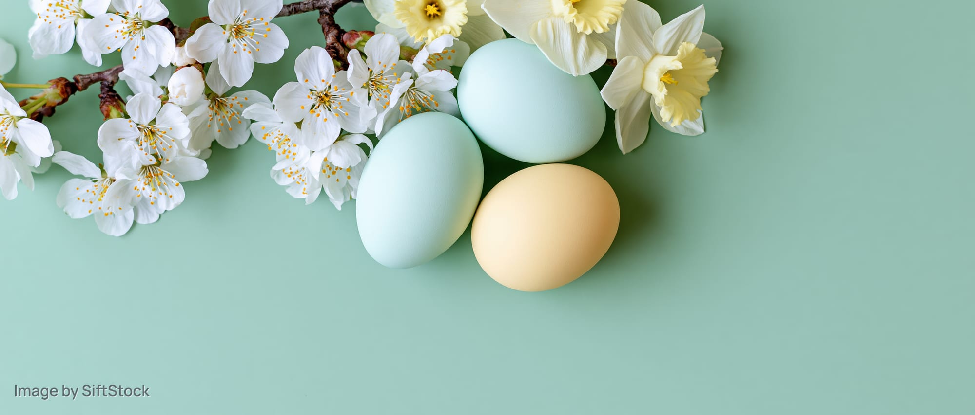Pastel easter eggs and spring blossoms arranged on a mint green surface