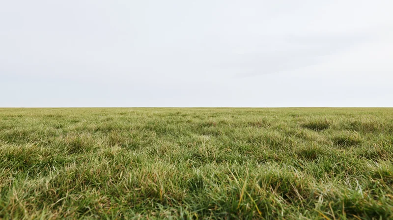 Wide view of a flat grass field stretching to the horizon under an overcast sky