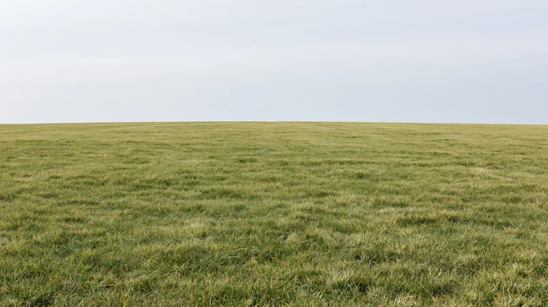 Wide view of a flat grass field stretching to the horizon under an overcast sky