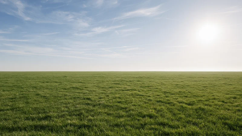 Flat grass field stretching to the horizon under a wide blue sky with sun and wispy clouds