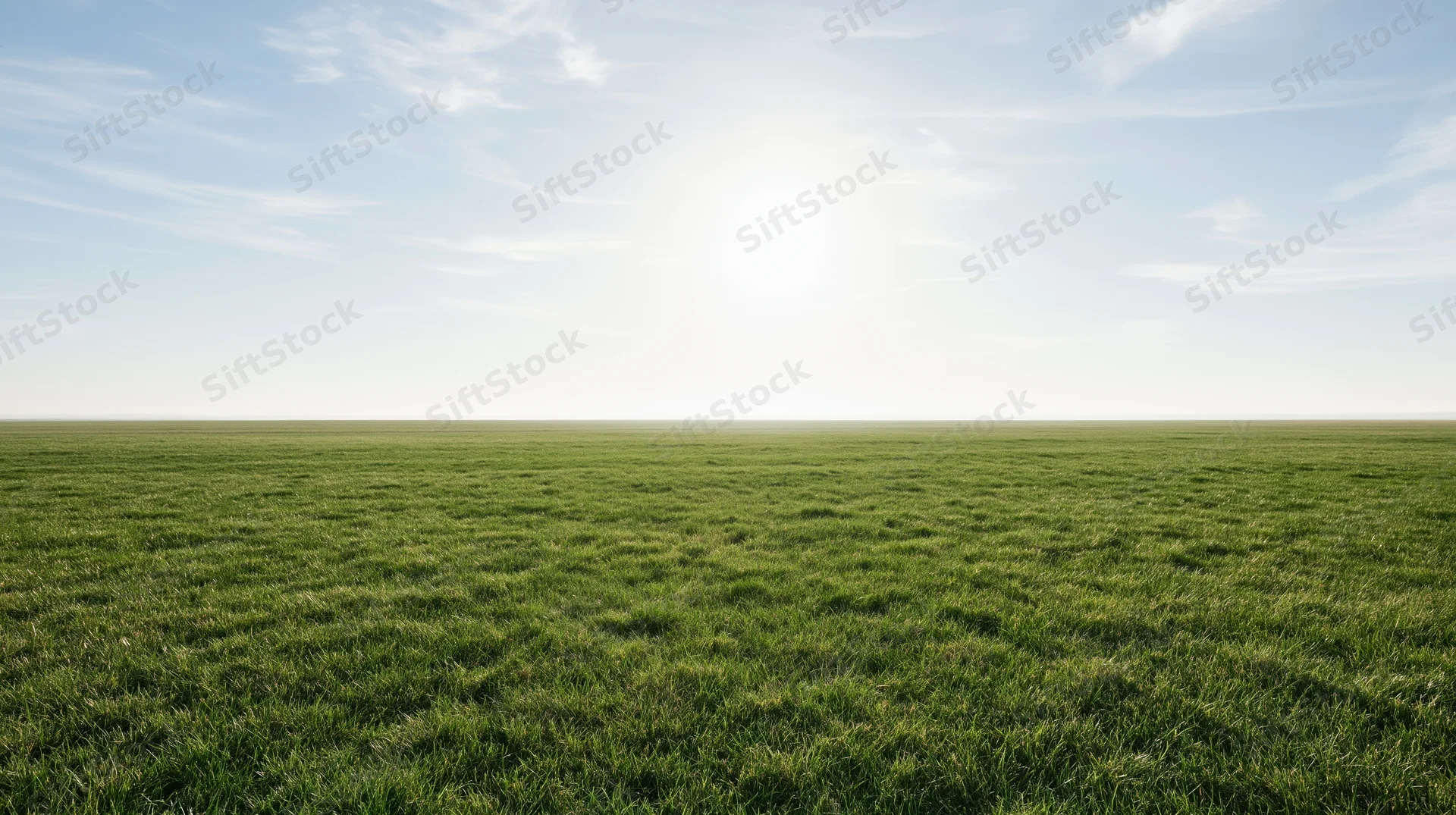 Flat grass field stretching to the horizon under a wide blue sky with scattered clouds and bright sunlight