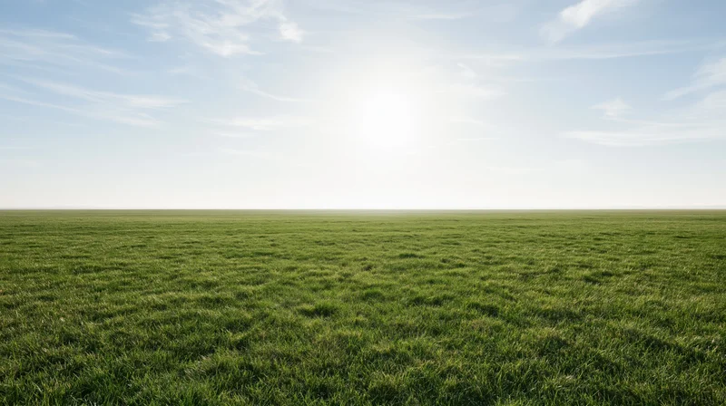 Flat grass field stretching to the horizon under a wide blue sky with scattered clouds and bright sunlight