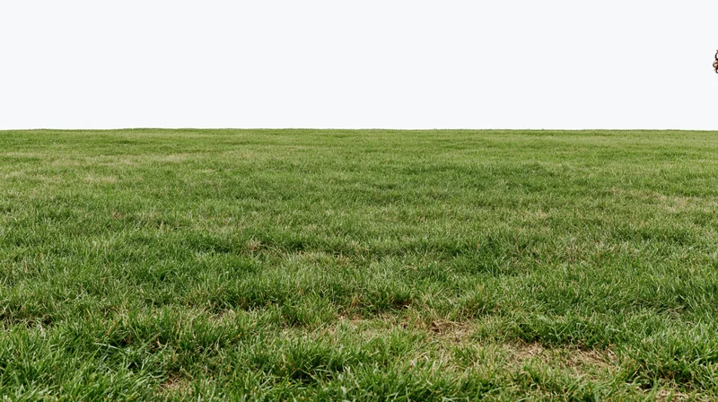Wide low-angle view of a flat open grass field stretching to the horizon under a white sky