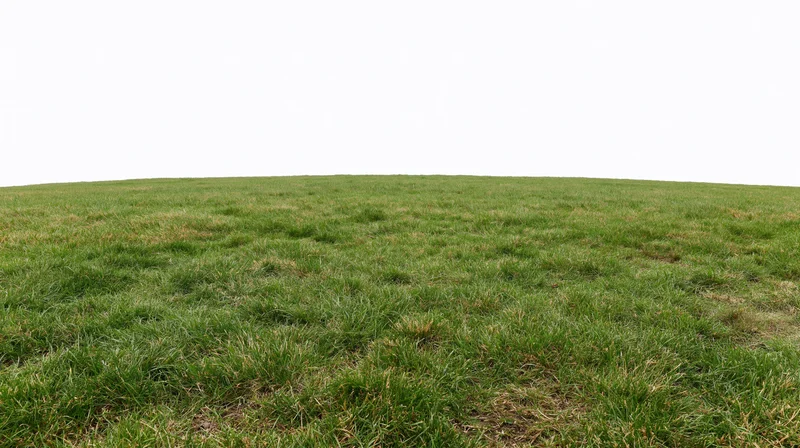 Wide low-angle view of a flat grass field stretching to the horizon