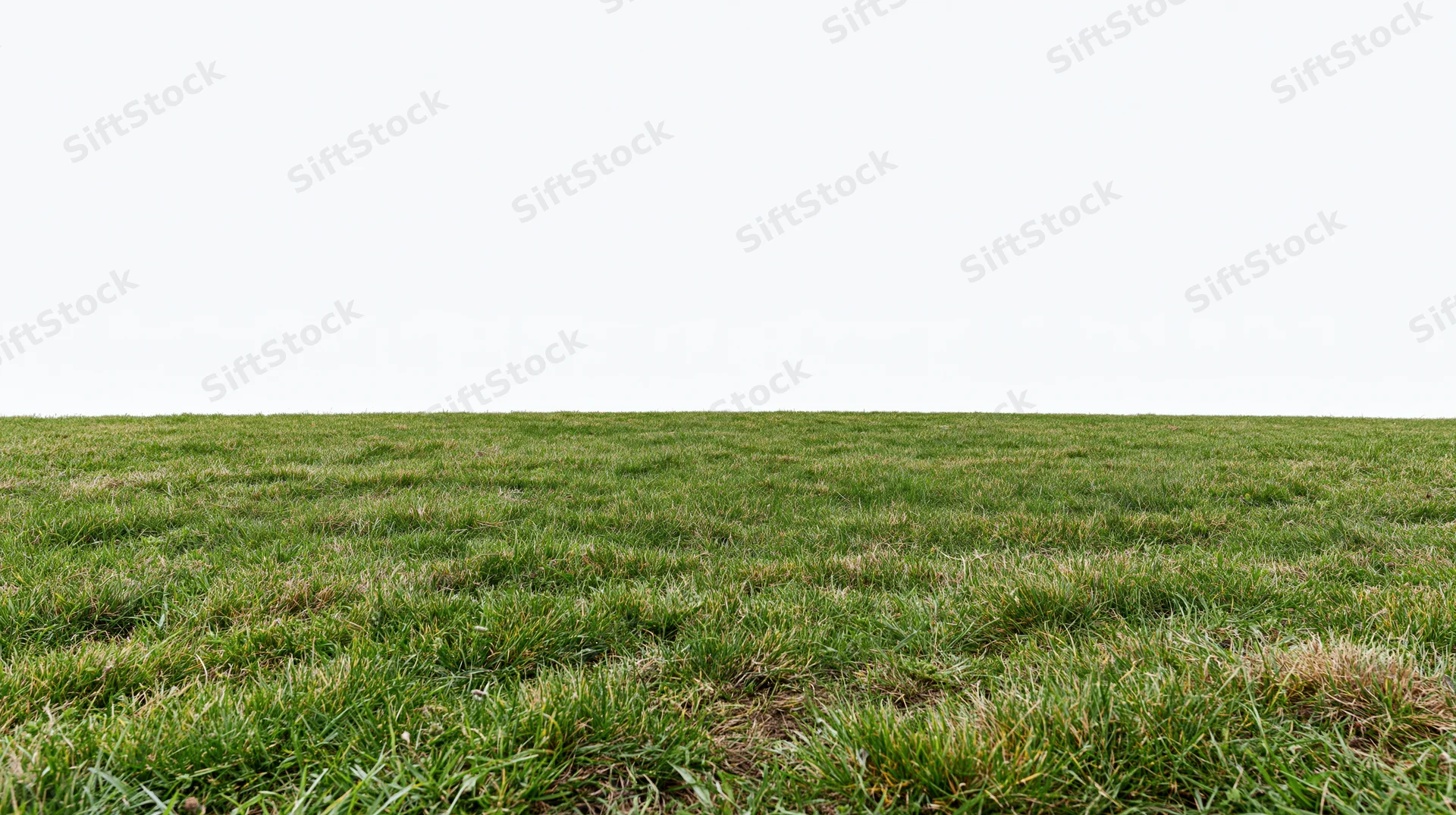 Wide low-angle view of a flat grass field stretching to the horizon under a white sky