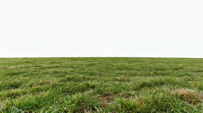 Wide low-angle view of a flat grass field stretching to the horizon under a white sky