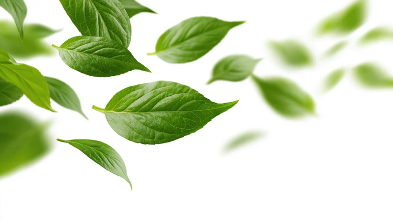 Green leaves floating midair in a sweeping arc against white background