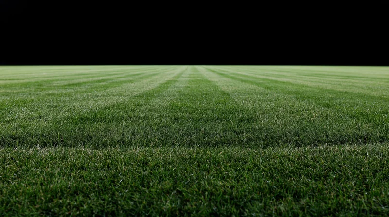Freshly mowed grass field with striped pattern extending into the distance under dark night sky