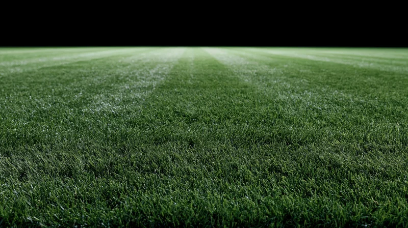 Freshly mowed grass field of a football stadium at night, viewed from ground level with striped texture and dark background