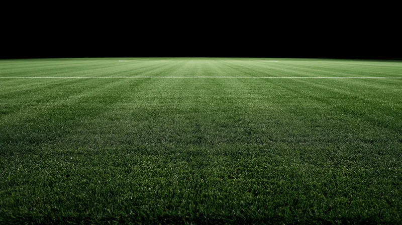 Freshly mowed grass field of a football stadium at night with a white boundary line and dark sky above