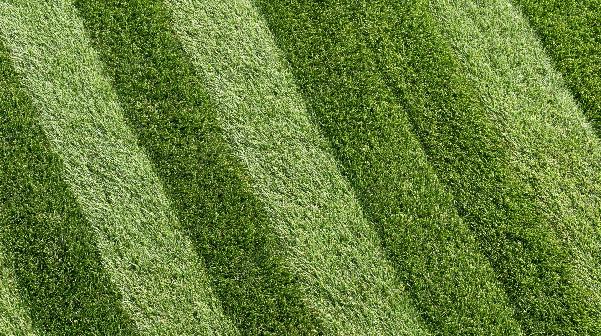 Overhead view of freshly mowed grass lawn with diagonal stripes