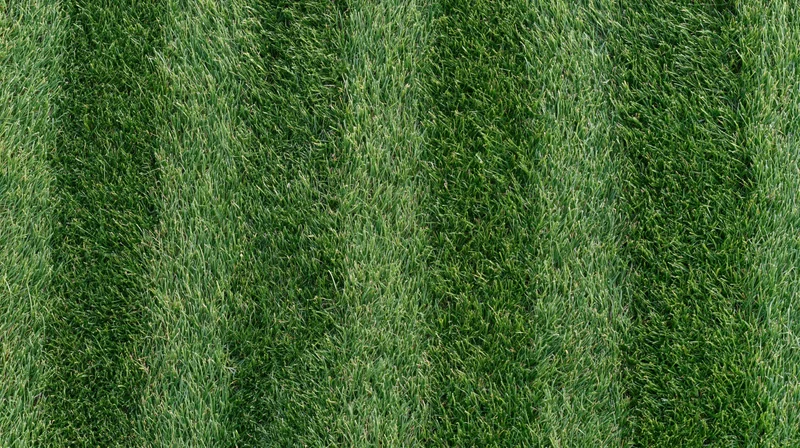 Overhead view of freshly mowed green grass lawn surface