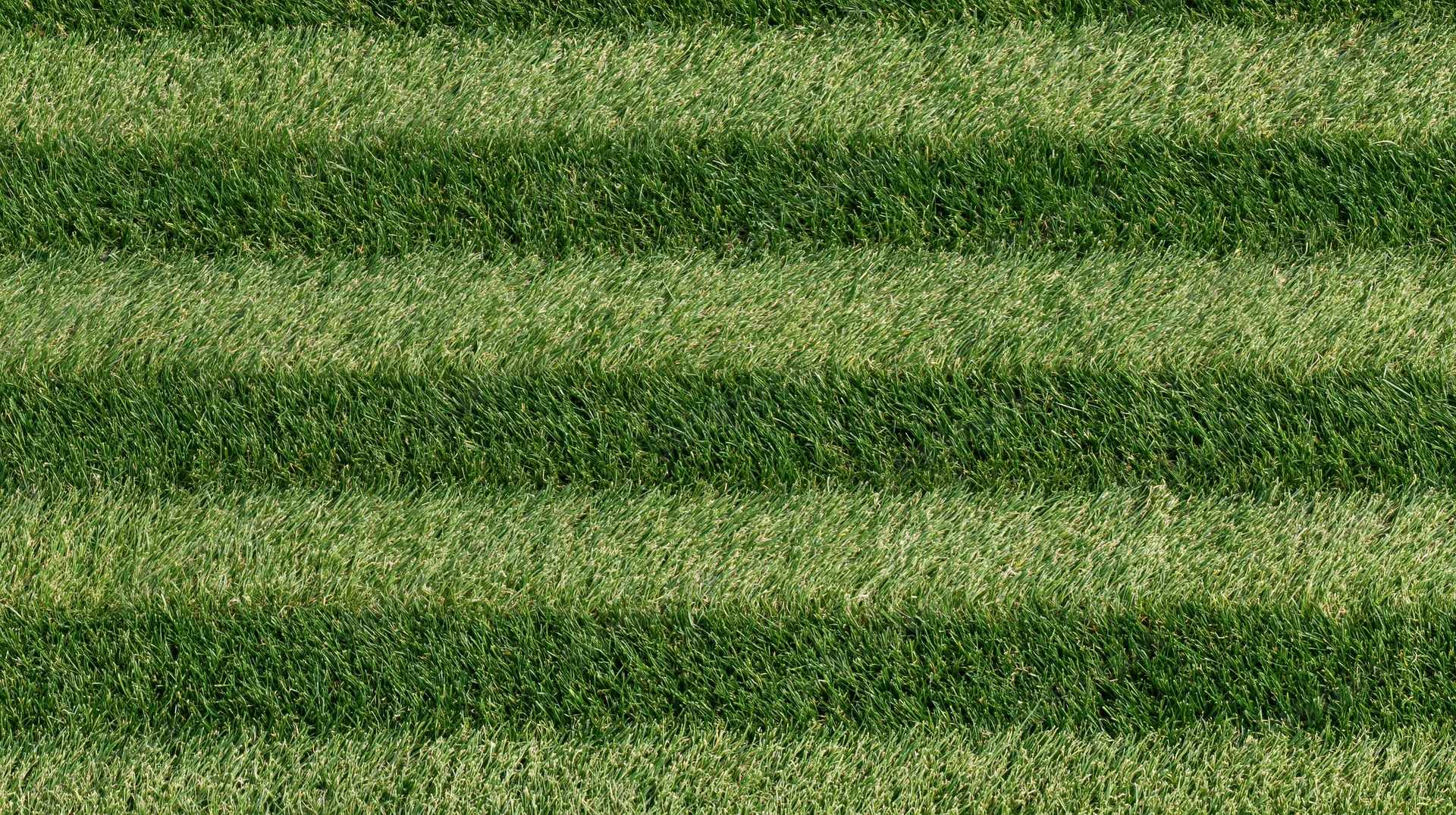 Overhead view of freshly mowed grass with striped pattern across the lawn