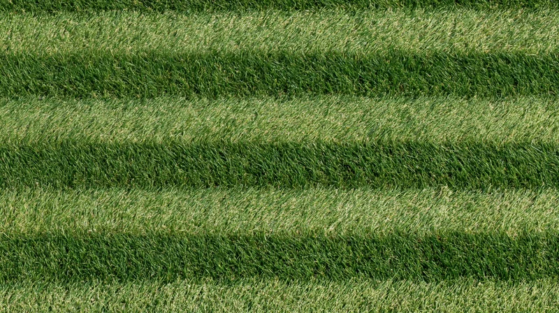 Overhead view of freshly mowed grass with striped pattern across the lawn