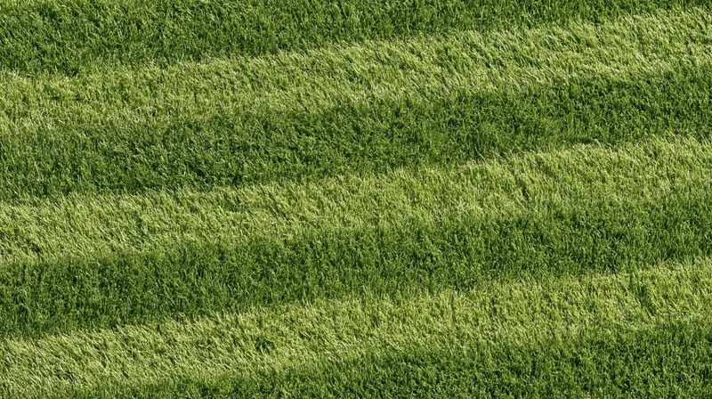 Overhead view of freshly mowed grass with striped pattern covering the entire frame
