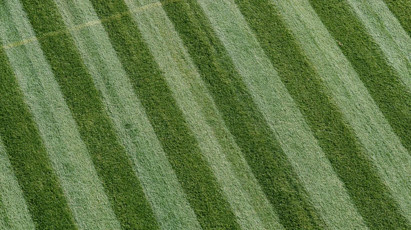Overhead view of freshly mowed sports field grass with diagonal striped pattern