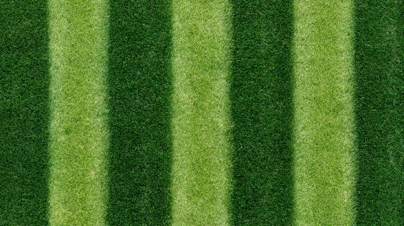 Overhead view of freshly mowed sports field grass with alternating green stripes