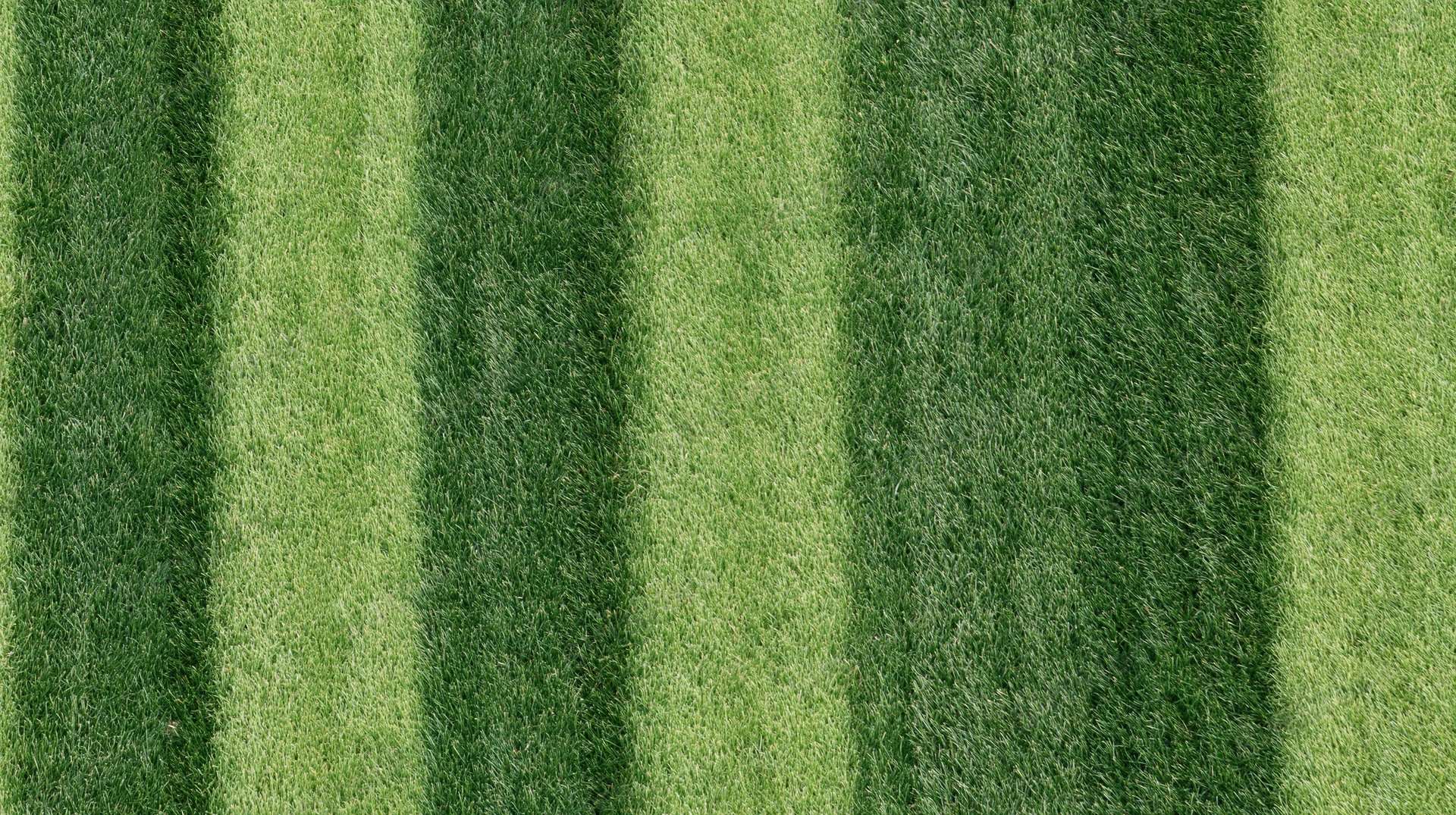 Overhead view of striped green grass on a sports field