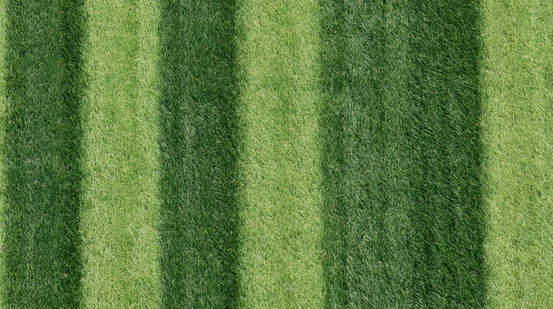 Overhead view of striped green grass on a sports field