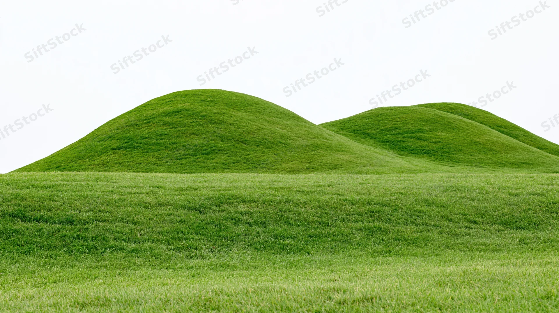 Gently rolling green grass hills with a flat grassy foreground