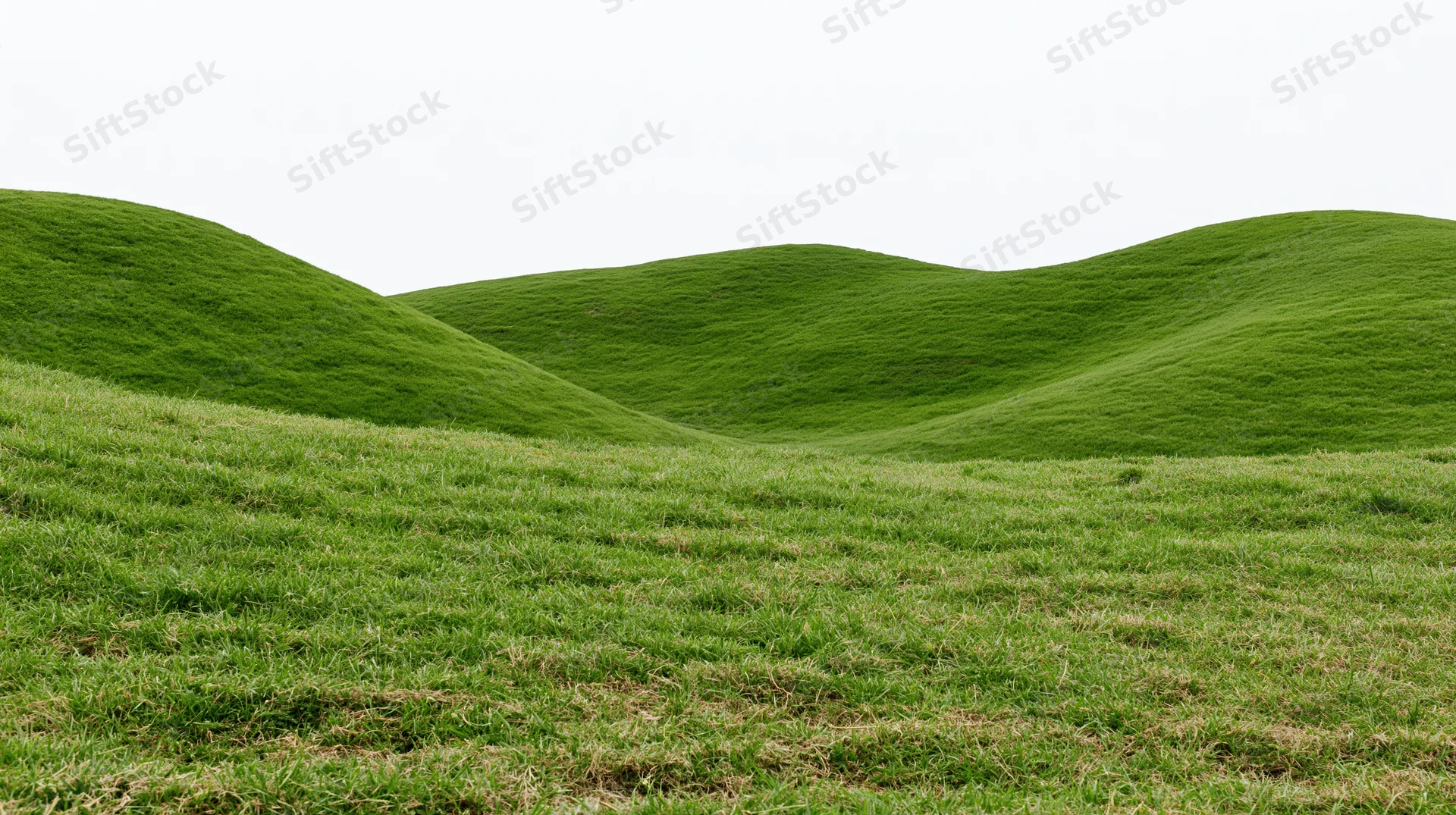 Gently rolling green grass hills in an open rural landscape