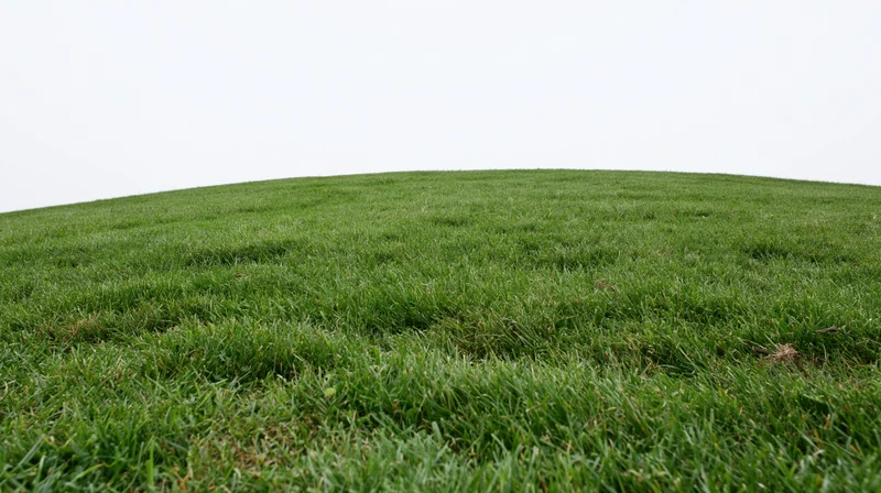 Gently rolling lawn of short green grass under overcast sky