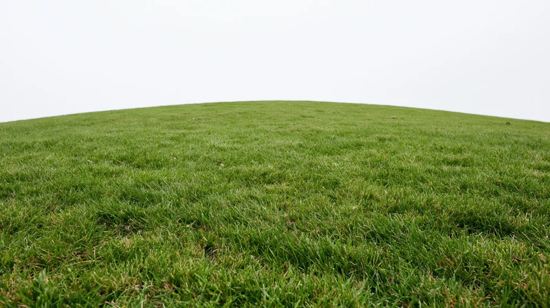 Gently rolling open lawn of short green grass under overcast sky