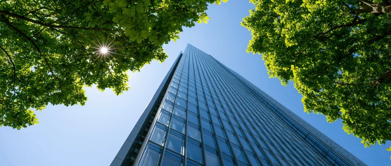 Low-angle view of a modern glass office tower framed by green trees against a clear blue sky with sun shining through foliage