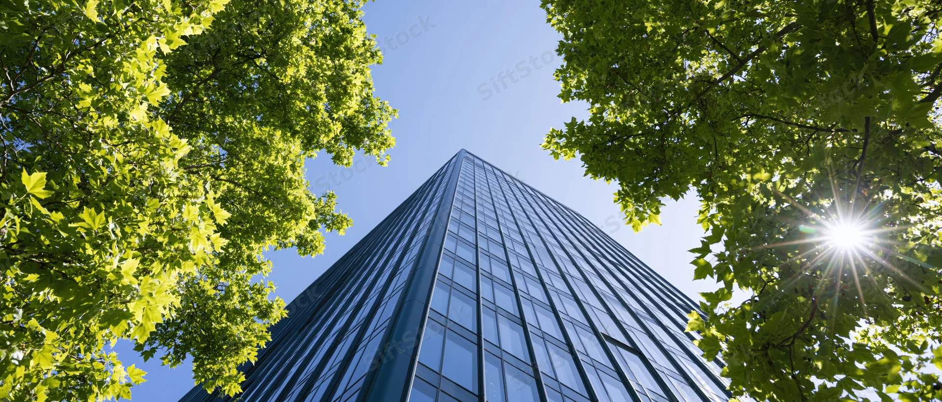 Low-angle view of a modern glass office tower framed by green trees against a clear blue sky with sunflare