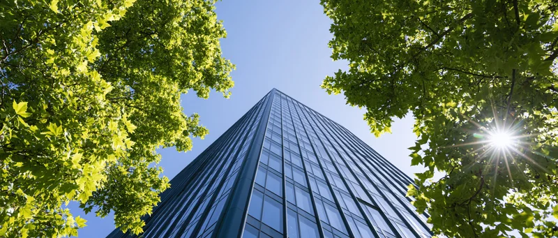Low-angle view of a modern glass office tower framed by green trees against a clear blue sky with sunflare