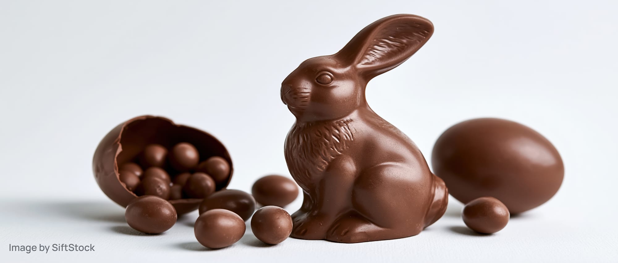 Chocolate easter bunny figurine with molded fur detail surrounded by chocolate eggs and candies on white background