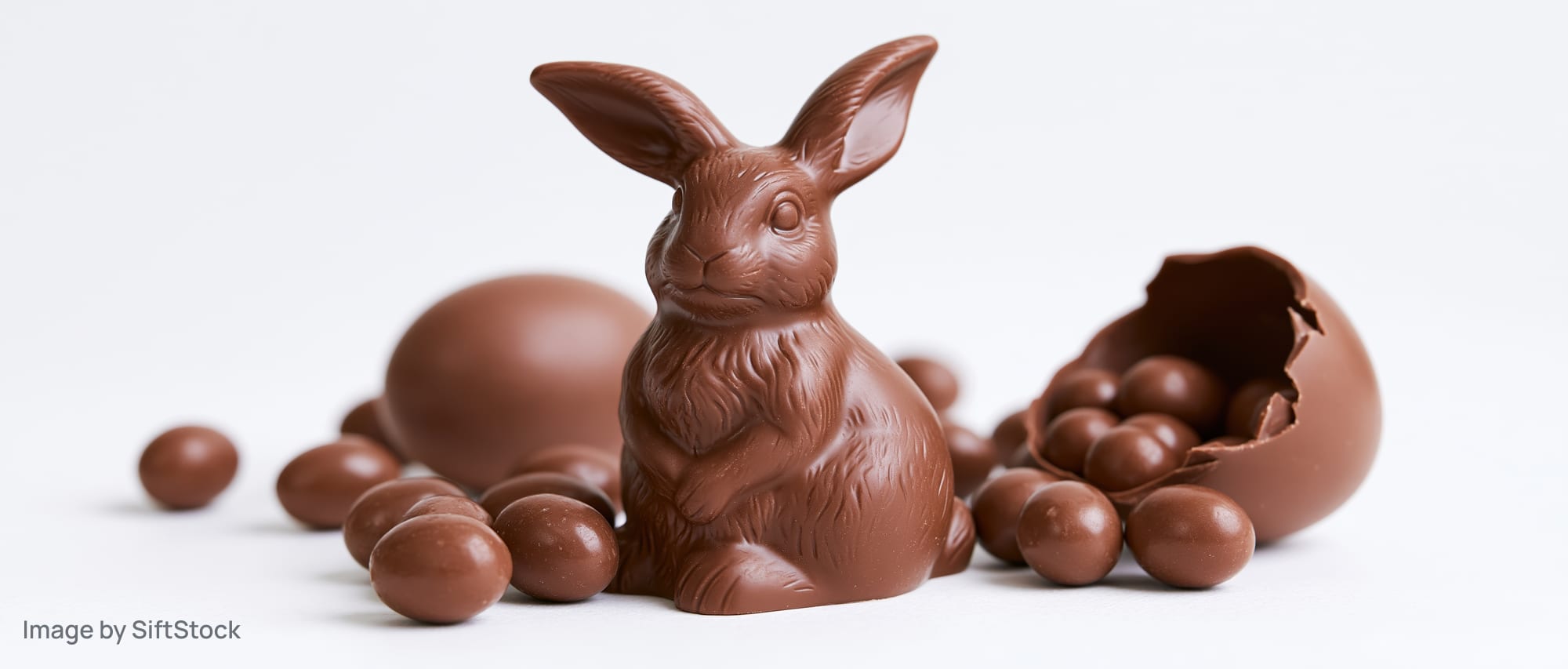 Chocolate easter bunny figurine with molded fur detail surrounded by chocolate eggs and spheres on white background