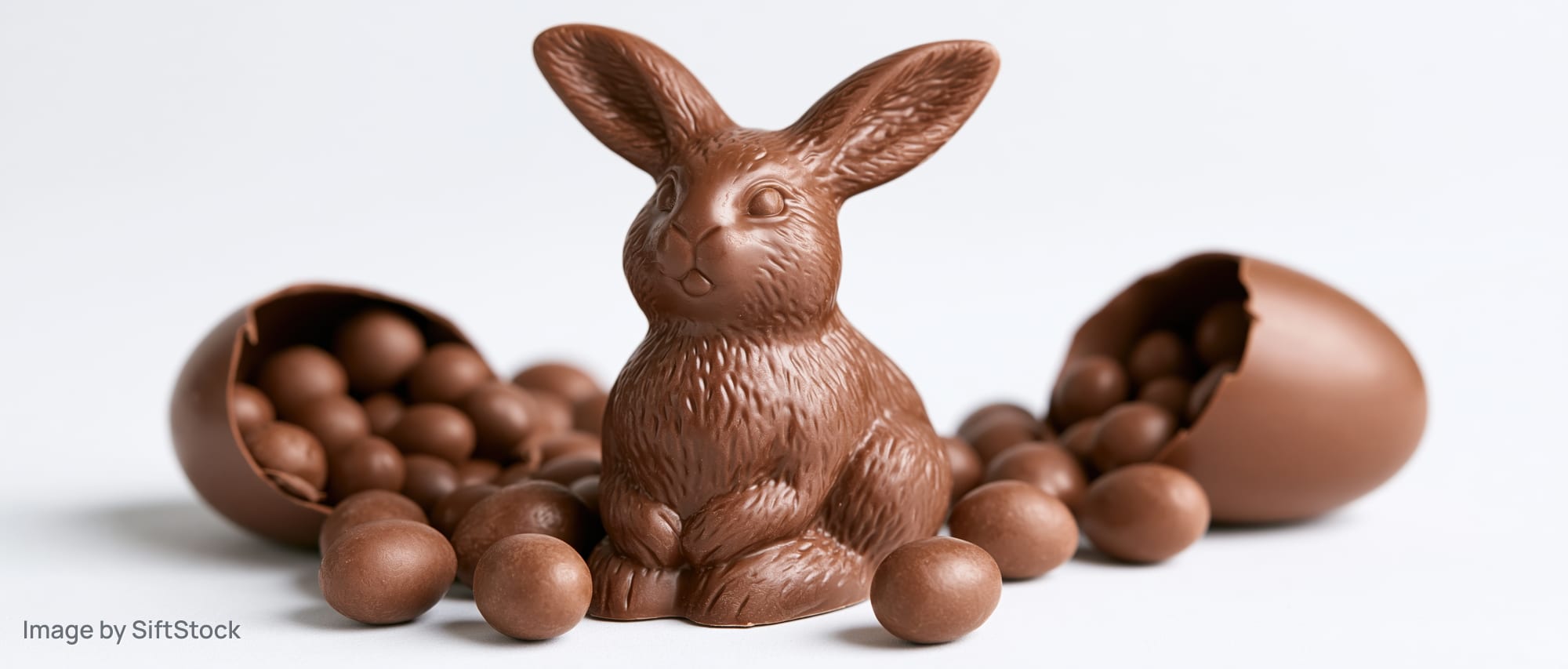 Chocolate bunny figurine surrounded by broken chocolate eggs and small chocolate spheres on white background