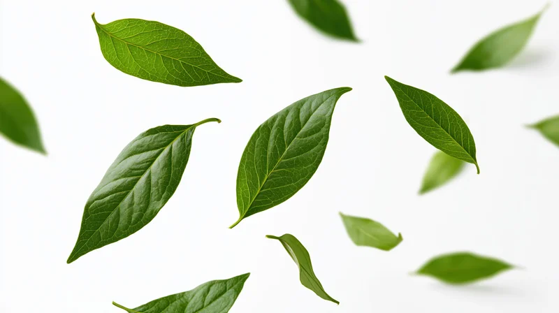 Green leaves floating midair against white background
