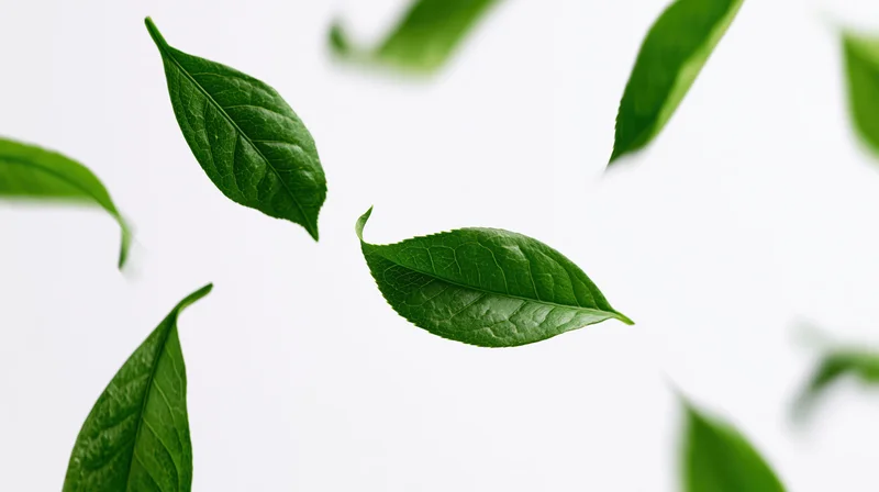 Green leaves floating midair in a swirling drift against white background