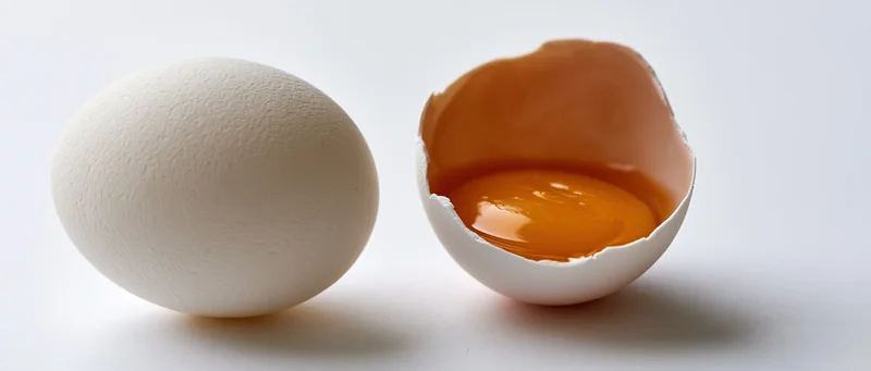 Whole white egg beside cracked shell half containing yolk on plain white surface