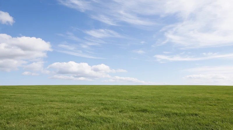 Open grassy meadow stretching to the horizon under a blue sky with scattered clouds