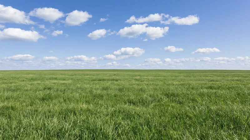 Open grass field stretching to flat horizon under broad blue sky with scattered white clouds
