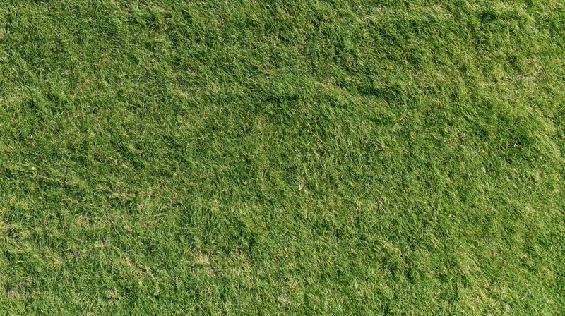 Overhead view of closely mown green grass covering the ground