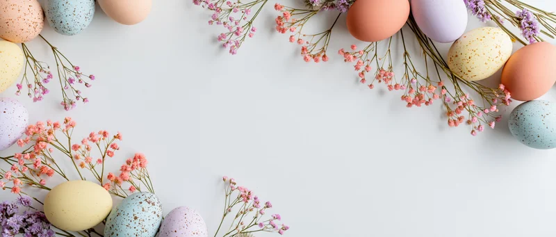 Pastel-speckled easter eggs and delicate gypsophila sprigs arranged in a frame on white background with copyspace