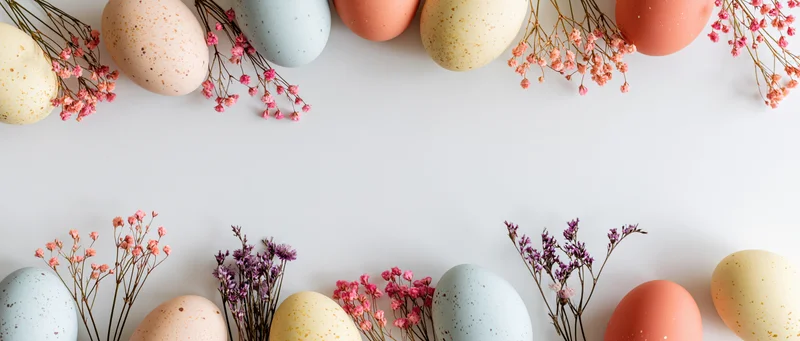Pastel-speckled easter eggs and delicate gypsophila sprigs arranged in border on white surface with copyspace