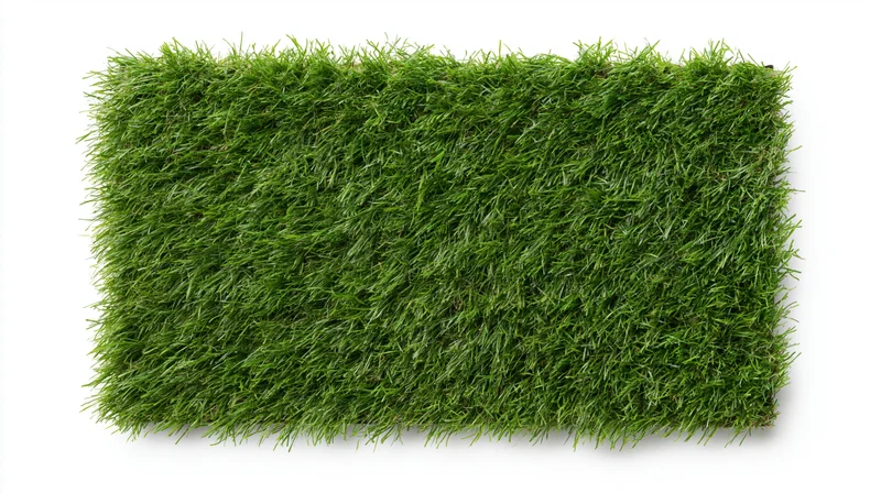 Rectangular patch of dense green artificial grass isolated on white background