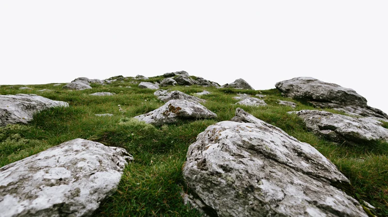 Rocky hillside covered in scattered grey-white stones and green grass under overcast sky