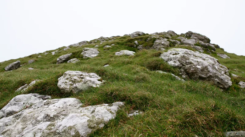 Rocky hillside covered in grass and scattered grey-white stones under overcast sky