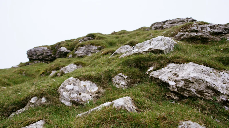 Rocky hillside slope covered in green grass and scattered grey-white stones under overcast sky