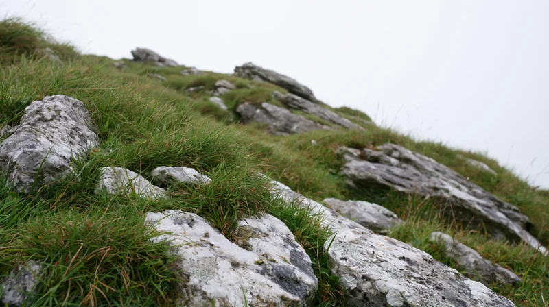 Rocky hillside slope with scattered grey-white stones and green grass under overcast sky
