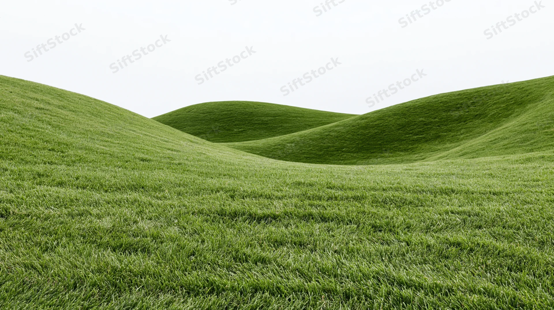 Rolling green grass hills forming a wide open landscape with no sky visible