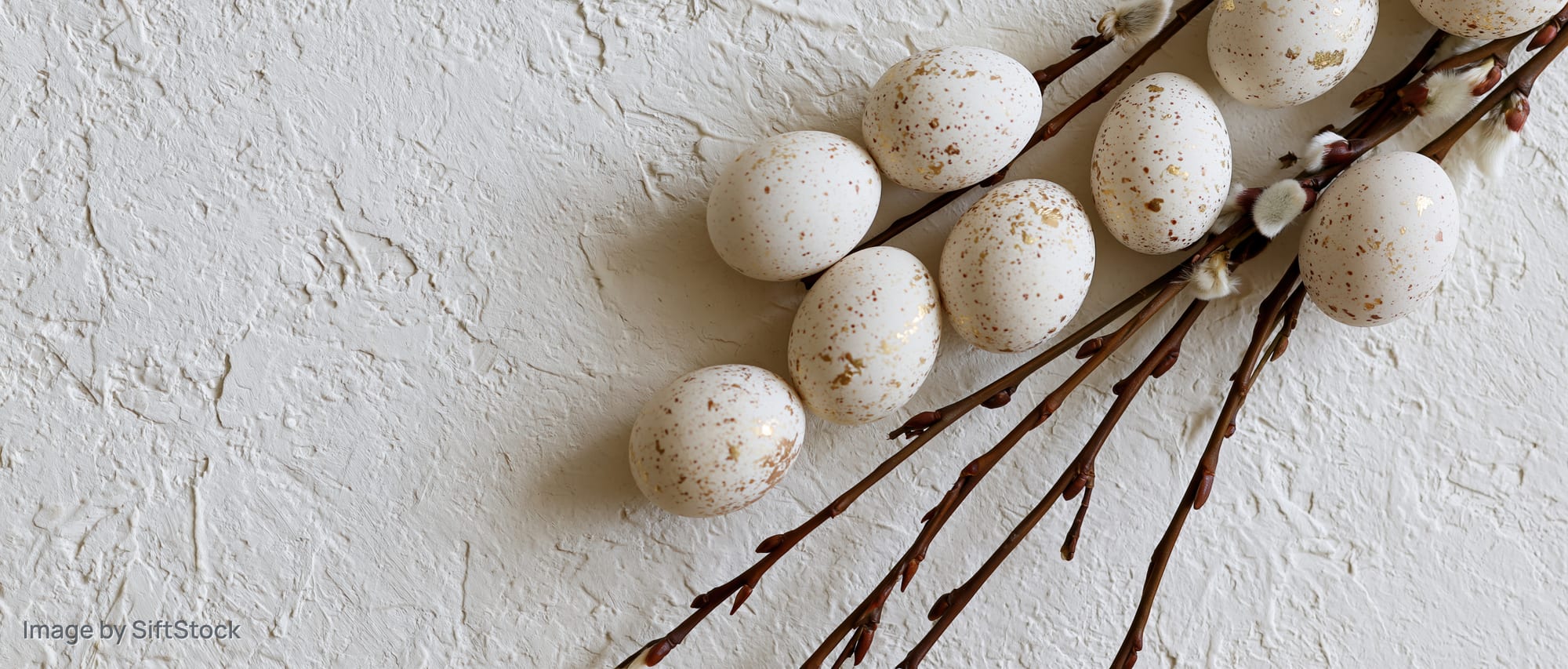 White speckled easter eggs with gold foil accents arranged on willow branches against a textured white wall